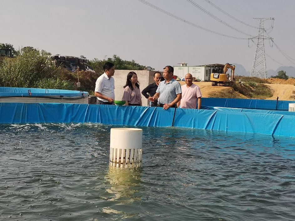 沙塘农场负责人向李书云副局长一行介绍陆基圆形池的设计、构造、生产原理和污水排放设施.jpg