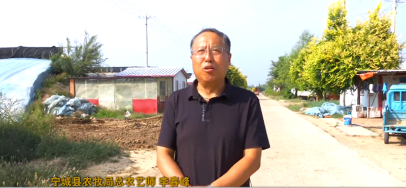 宁城县农牧局总农艺师李春峰