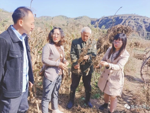 微信截图_20231102081247.png 微信截图_20231102081247.png