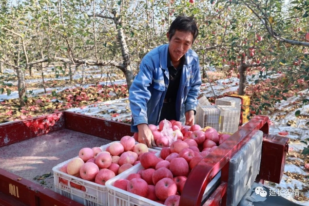 微信截图_20231102083935.png 微信截图_20231102083935.png