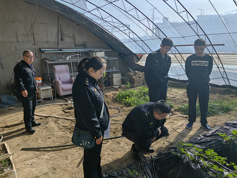 呼和浩特市农牧业综合行政执法支队开展农产品质量安全专项执法检查