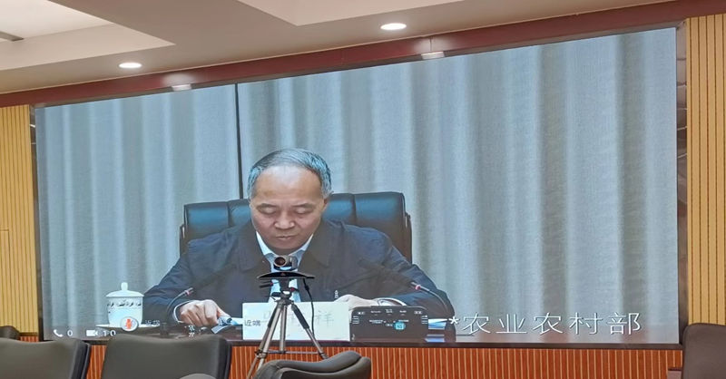 农业农村部豇豆农药残留突出问题攻坚治理工作推进视频会议现场