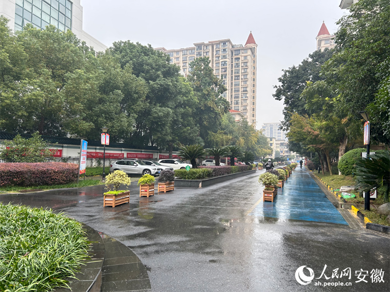芜湖市弋江区南瑞街道奥韵康城小区新修的道路。人民网记者 高飞跃摄