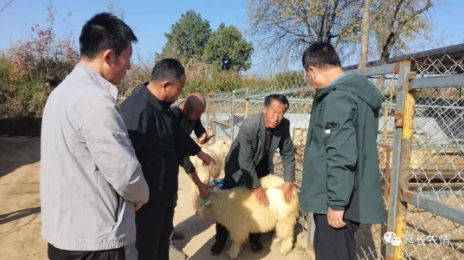 微信截图_20231102084330.png 微信截图_20231102084330.png