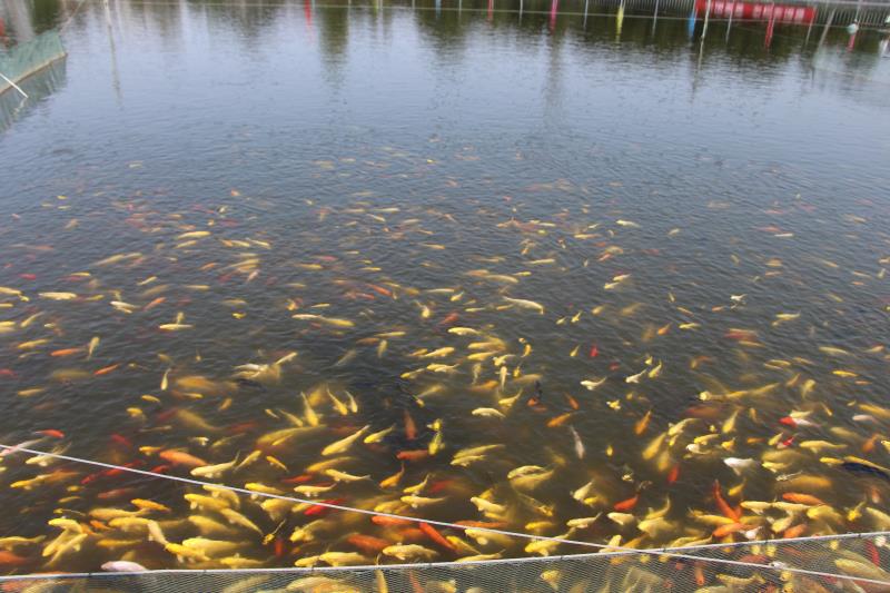 微信图片_20200728081922.jpg 微信图片_20200728081922.jpg