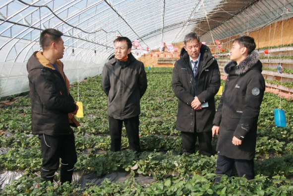 建行青铜峡支行工作人员走进田间地头向农户了解种植情况 建行青铜峡支行工作人员走进田间地头向农户了解种植情况