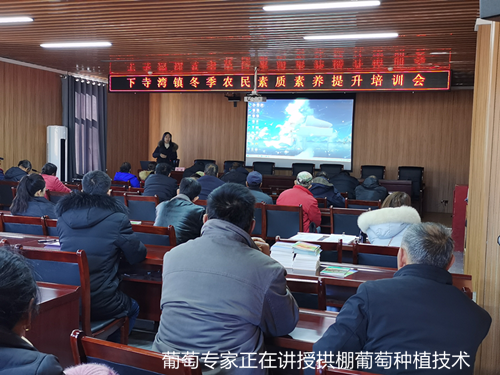 4_副本.png 4_副本.png