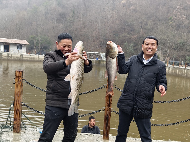 IMG_20240117_165622.jpg IMG_20240117_165622.jpg