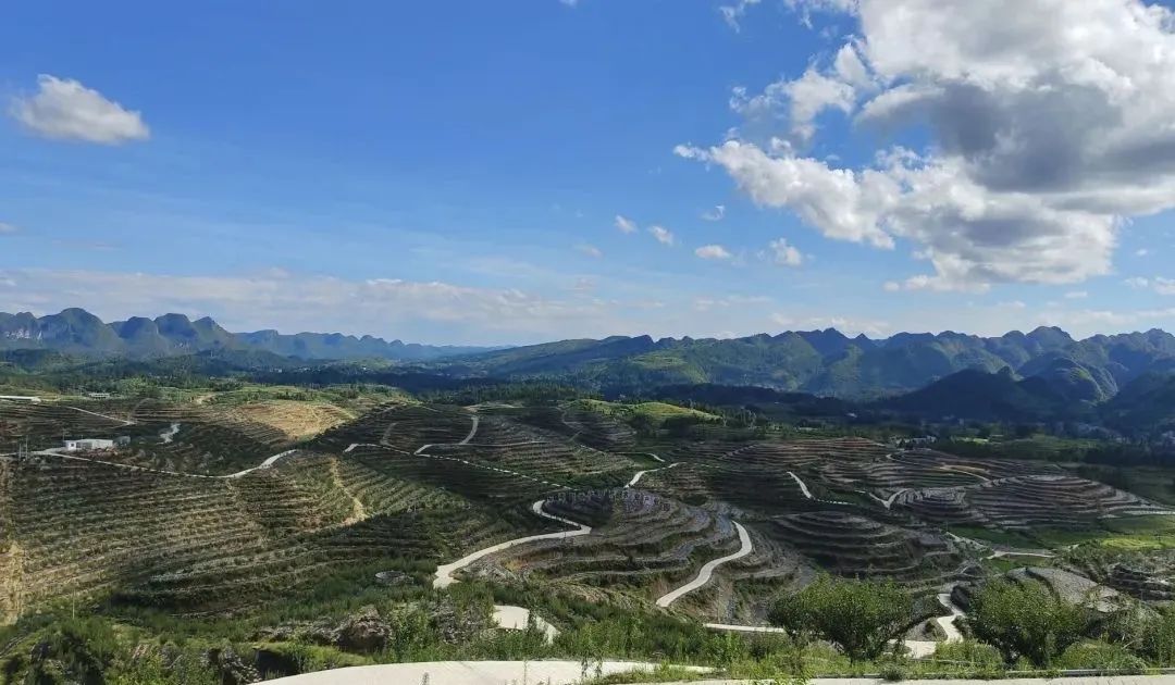 广州白云区与平塘县携手共建云岭精品水果数字化产业示范基地。 广州白云区与平塘县携手共建云岭精品水果数字化产业示范基地。