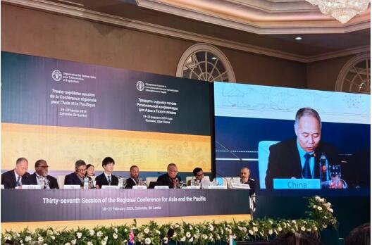 联合国粮食及农业组织亚太区域第37届