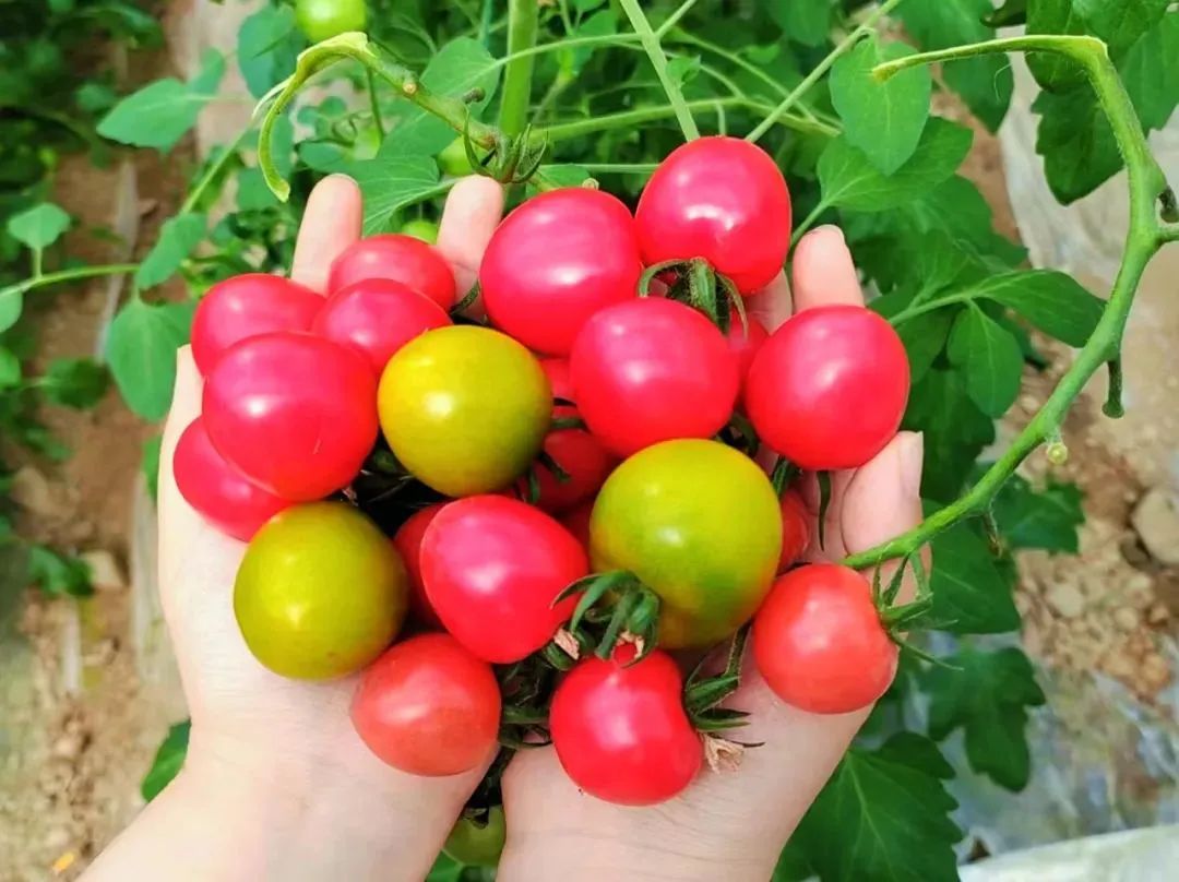 077c93dcd4ab673b1b85f4316d6121bf.jpg 077c93dcd4ab673b1b85f4316d6121bf.jpg