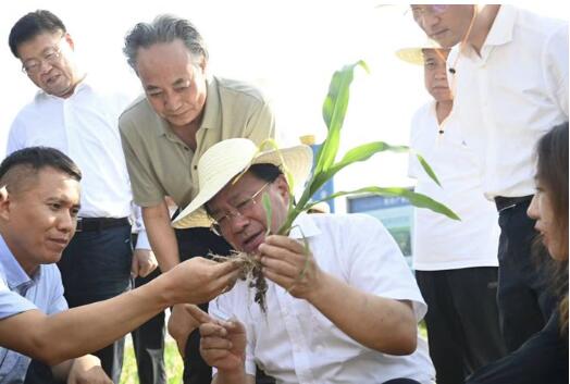 韩俊在河北调研时强调