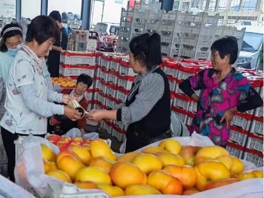 果树种质资源精准鉴定与创新利用展示会召开