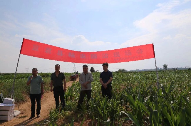 玉米粘虫现场会.jpg