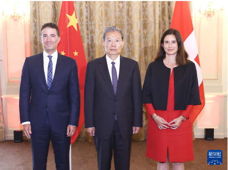 赵乐际对瑞士进行正式友好访问 赵乐际对瑞士进行正式友好访问