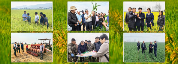 中国农业科学院有组织支撑稳产保供工作获2024年度全国志愿服务活动表彰