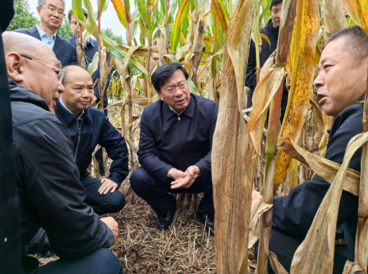 韩俊在河南调研时强调 全力抓好秋收秋种服务保障 提升农业防灾减灾救灾能力