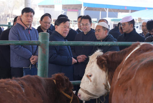 韩俊在甘肃调研时强调 持续巩固拓展脱贫攻坚成果 培育壮大乡村特色产业2