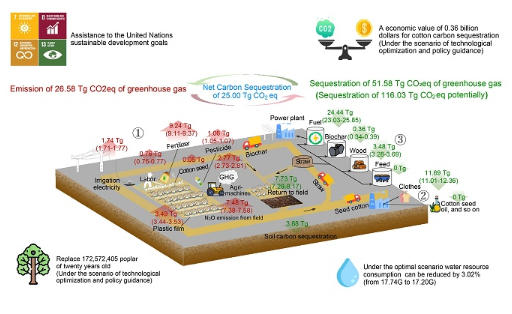 田间管理与秸秆利用双策驱动棉花固碳节水增效