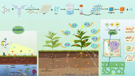 小小纳米载体“点亮”植物生长