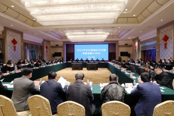 {xunruicms_img_title} {xunruicms_img_title}