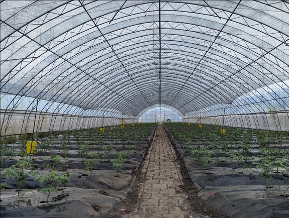 黑龙江省农作物专家育种示范基地网络体系全面建成